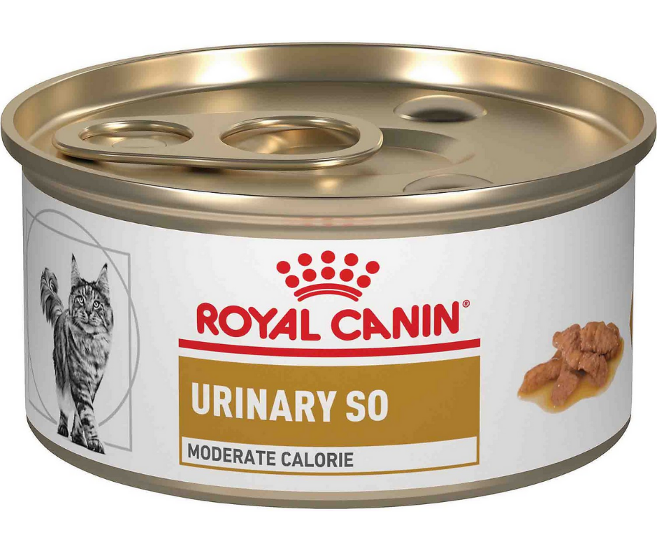 开云电竞app手机版下载皇家Canin兽医院-UrinarySO,GravyCanedCat食品南方农业中度CalorieMorse